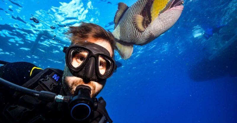 Sharm El Sheikh: Ras Mohamed, White Island, Snorkel & Diving - Good To Know