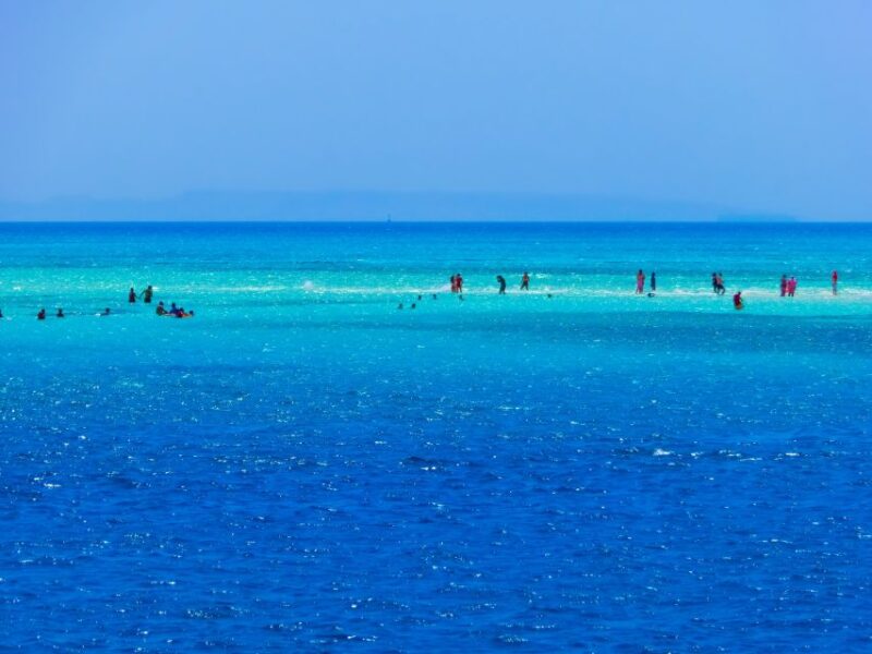 Sharm El Sheikh: Ras Mohamed, White Island, Snorkel & Diving - Whats Included
