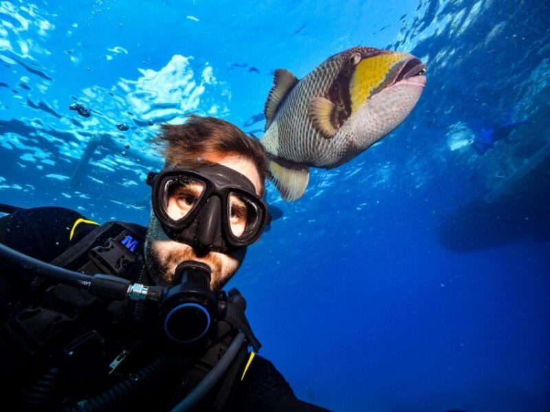 Sharm El Sheikh: Ras Mohamed, White Island, Snorkel & Diving - Customer Ratings and Reviews