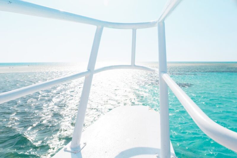 Sharm El Sheikh: Ras Mohamed & White Island Trip With Lunch - Important Information and Requirements