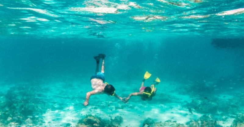 Sharm El-Sheikh: White Island and Ras Mohamed Nature Reserve - Travel Tips for Visitors