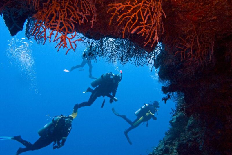 Sharm El-Sheikh: White Island & Ras Mohammed Snorkel Trip - Itinerary and Activities