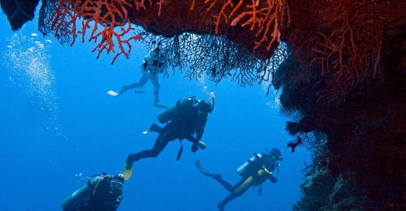 Sharm El-Sheikh: White Island & Ras Mohammed Snorkel Trip - Experience Highlights