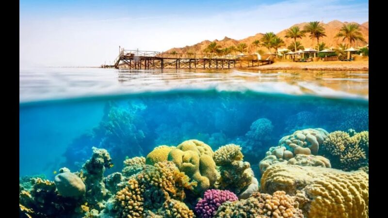 Sharm El-Sheikh: White Island & Ras Mohammed Snorkel Trip - Inclusions and Requirements