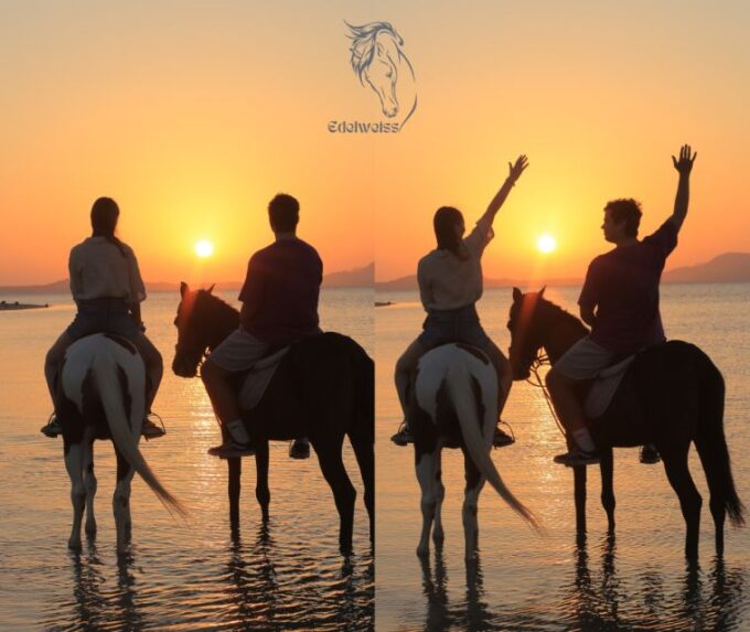 Sharm El Shiekh: Beach and Desert Horse Riding Tour - Unique Features of Sharm El Sheikh