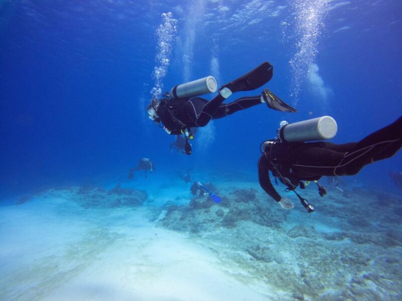 Sharm: Ras Mohamed Diving Boat Trip With Private Transfers - Good To Know