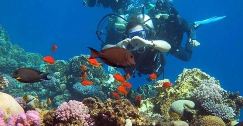 Sharm to Dahab: Colored Canyon, Blue Hole, Qude Bike, Camels - Itinerary Highlights