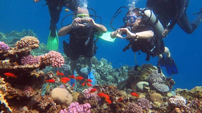 Sharm to Dahab: Colored Canyon, Blue Hole, Qude Bike, Camels - Included Services and Equipment