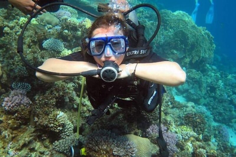 Sharm:Introduction Dive From the Shore & PADI Courses - Instruction and Languages