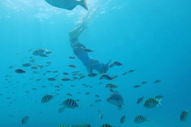 Shasa Catamaran Cruises Limited Numbers 3 Hour Sail and Snorkel - Key Points