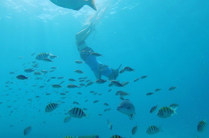 Shasa Catamaran Cruises Limited Numbers 3 Hour Sail and Snorkel - The Sum Up