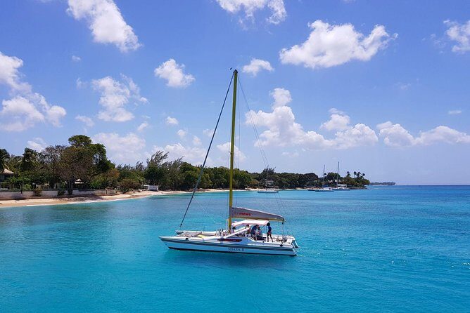 Shasa private catamran sailing cruise, Snorkel with turtles. - A Closer Look at the Shasa Private Catamaran Cruise