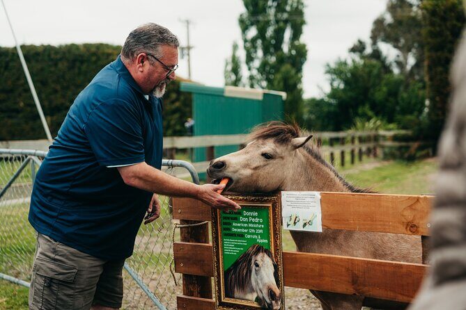 Sheep Farm Day Trip from Christchurch + Lunch and Winery visit. - Who Will Love This Tour?