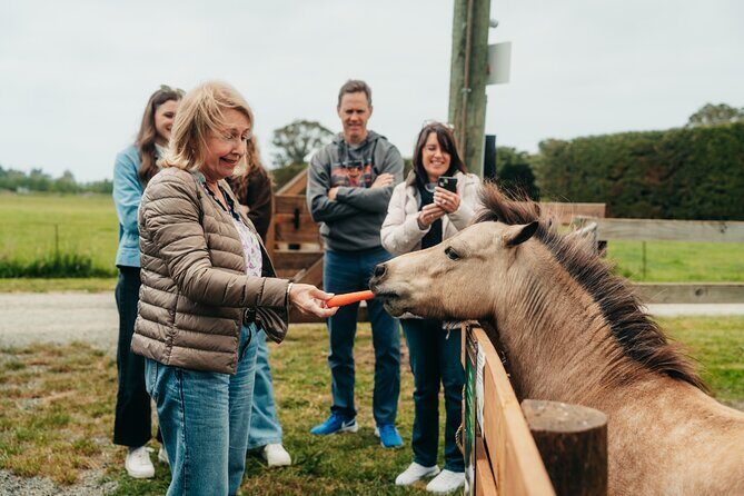 Sheep Farm Day Trip from Christchurch + Lunch and Winery visit. - FAQ