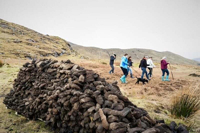 Sheepdog herding demo on working sheep farm. Galway. Guided. - Practical Details and Logistics