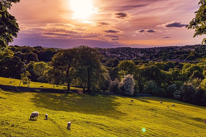 Sheffield Tour App, Hidden Gems Game and Big Britain Quiz (1 Day Pass) UK - Reviews and Ratings Analysis