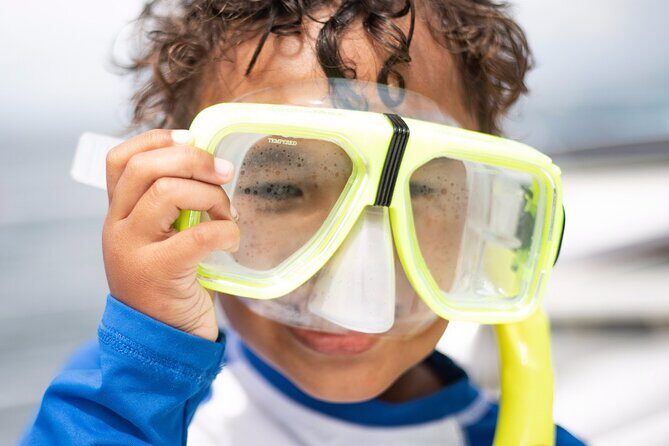 Shell Island Dolphin and Snorkel Boat Tour - FAQ