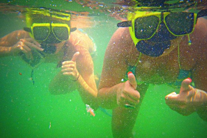 Shell Island Snorkel and Dolphin Catamaran Cruise With Island Time - Directions and Meeting Point