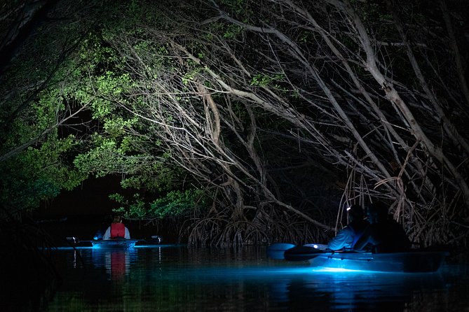 Shell Key Clear Kayak Glow in the Dark Tour - Group Size and Weight Limits