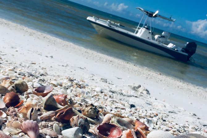 Shelling Tours - Fort Myers Beach / Naples - Shelling and Snorkeling Activities