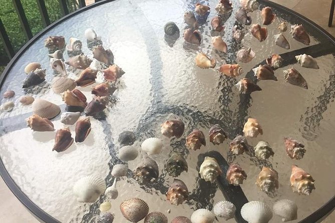 Shelling Tours - Fort Myers Beach / Naples - Tips for a Great Experience