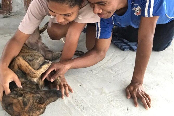 Shelter Visit & Tour - Practical Tips for Visitors