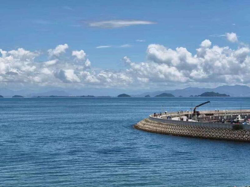 Shenzhen: Dapeng Peninsula Day Tour with Hotel Pickup - What’s Included and Why It Matters