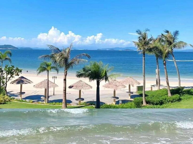 Shenzhen: Dapeng Peninsula Day Tour with Hotel Pickup - Who Would Love This Tour?