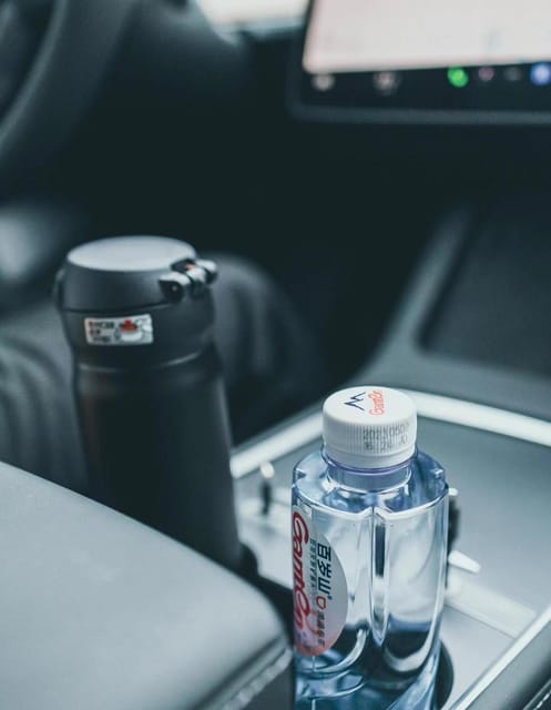 Shenzhen: VIP Airport Transfer To/From Downtown With Tesla - Meeting Point and Additional Notes
