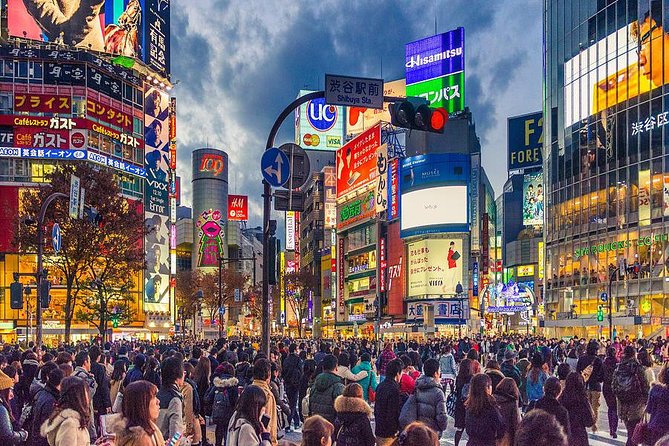 Shibuya All You Can Eat Food Tour Best Experience in Tokyo - What to Expect