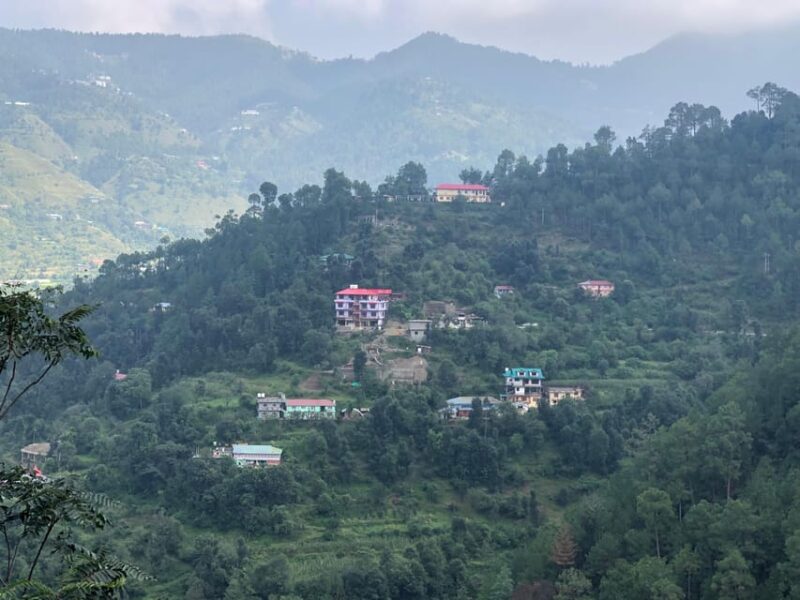 Shimla: Experience the Best of Shimla With a Local Guide - Customer Experiences and Reviews