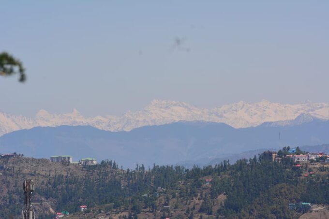 Shimla: Experience the Best of Shimla With a Local Guide - The Sum Up