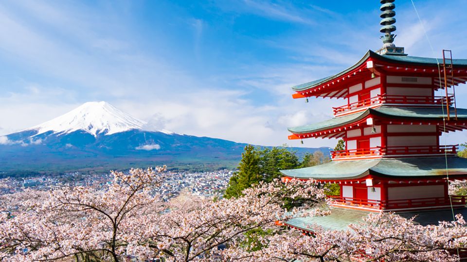 Shinjuku: Mount Fuji Panoramic View and Shopping Day Tour - Frequently Asked Questions