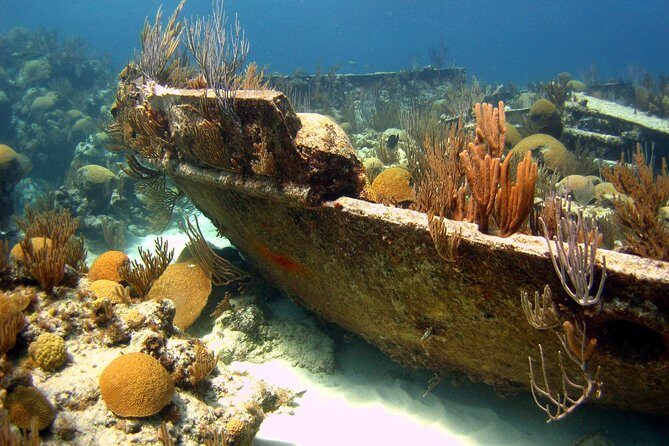 Shipwreck Snorkel in Bermuda - Group Size, Timing, and Practicalities