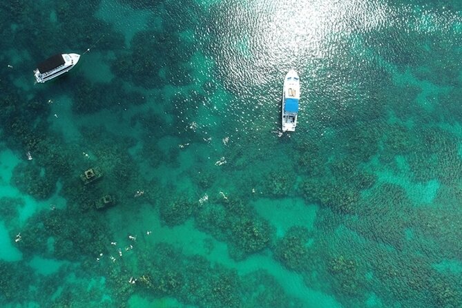 Shipwreck Snorkel in Bermuda - Snorkeling Highlights