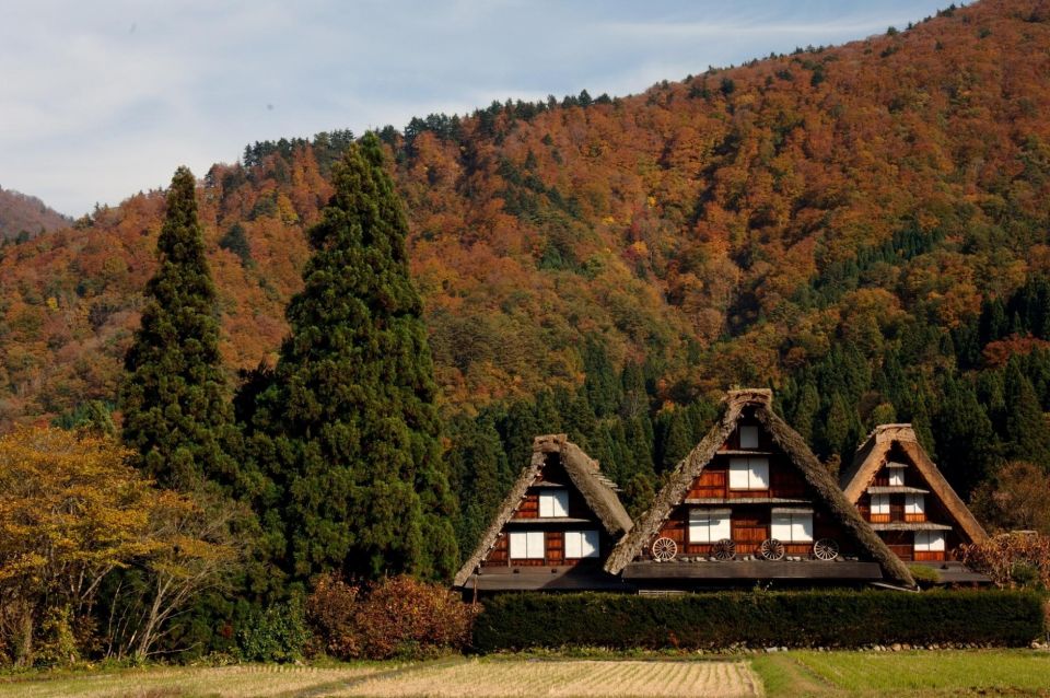 Shirakawa-Go From Nagoya One Day Bus Ticket One-Way/Round-Trip - Bus Rules and Restrictions