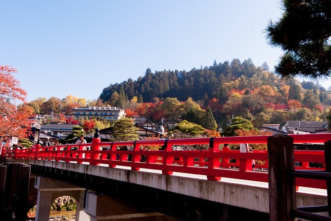 Shirakawago and Takayama Bus Tour From Nagoya - Itinerary