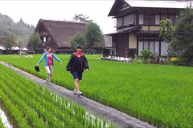 Shirakawago & Kanazawa DrivingTour: English Speaking Driver Takayama to Kanazawa - Communication and Accessibility