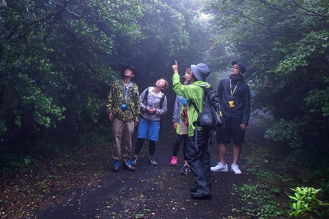 Shiratani-Unsuikyo Trekking Tour in Yakushima Island - Inclusions and Logistics