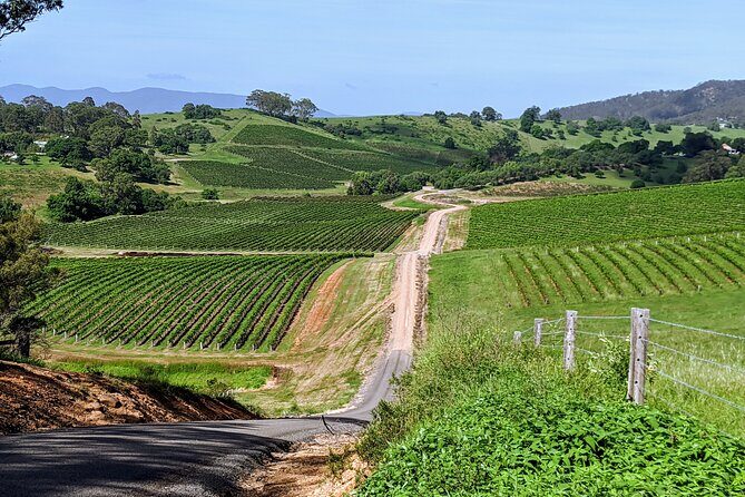 Shire Shuttle Bus's Shoalhaven Coast Wine Tour - Key Points