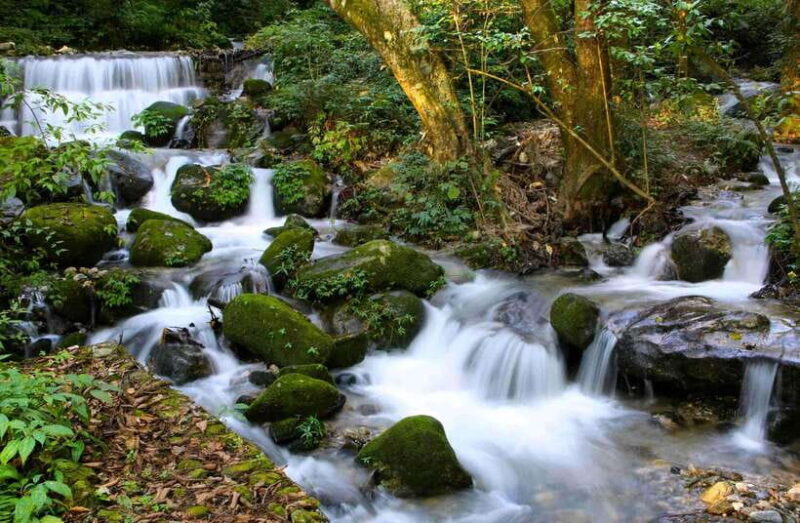 Shivapuri National Park Hike  Scenic Day Trek - The Journey Begins: From Kathmandu to Shivapuri