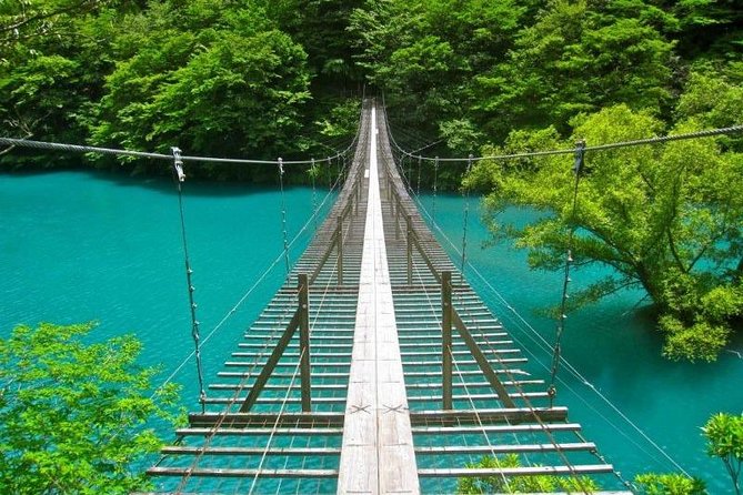 Shizuoka/Shimizu Mt Fuji View 6 Hr Private Tour: Guide Only - Pickup and Meeting Details
