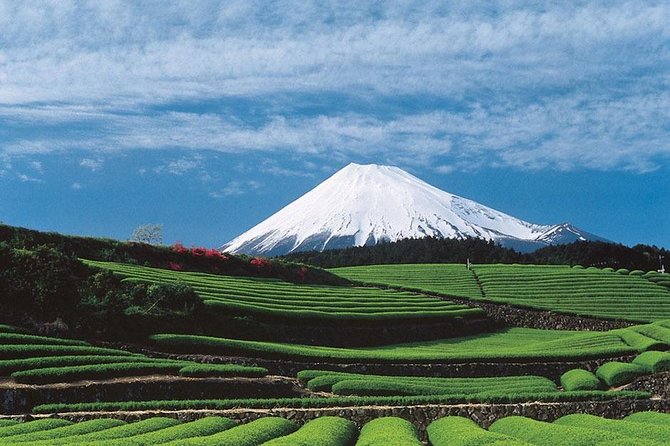 Shizuoka/Shimizu Mt Fuji View 6 Hr Private Tour: Guide Only - Tour Duration and Timing