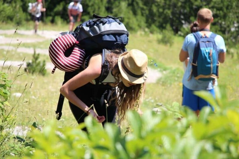 Shkodër: Accursed Mountains 5-Day Hike with Accommodation - Key Points