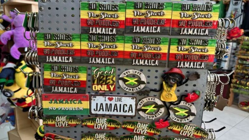 Shopping & Sightseeing Local Guided Tour In Montego Bay - The Sum Up: Who Is This Tour Best For?