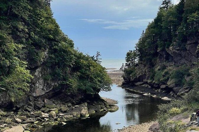 Shore and Hopewell Rocks Guided Tour - Authentic Experiences and Feedback
