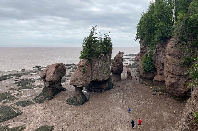Shore and Hopewell Rocks Guided Tour - The Sum Up