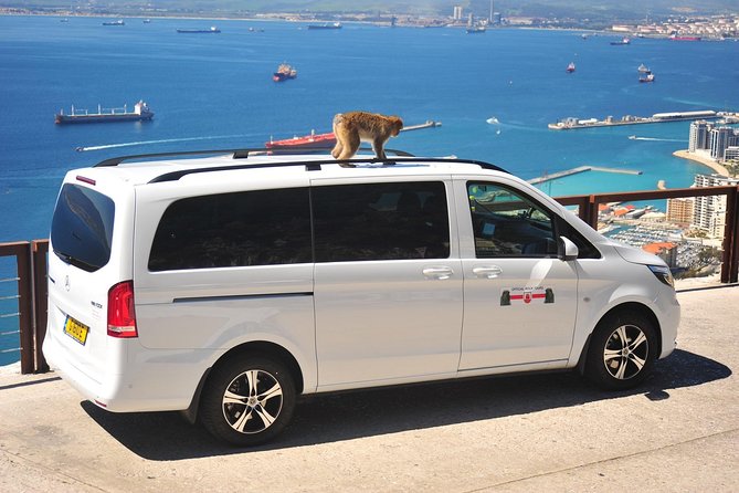 SHORE EXCURSION 3.30hrs Half Day Tour - Cancellation Policy