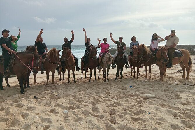 Shore Excursion Arubas Ecological and Beach Horseback Riding - Exploring Aruba’s Ecological and Beach Horseback Riding: A Practical Guide