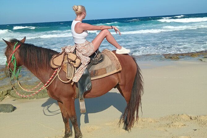 Shore Excursion Arubas Ecological and Beach Horseback Riding - Who Should Consider This Tour?
